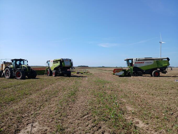Oferuje koszenie rzepaku oraz zbóż 400 zł